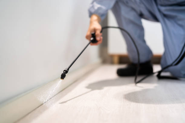 Licensed Termite Control service in Ponca City, OK - Nex Pest Control