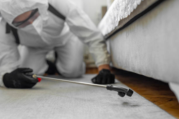 Professional Termite Control technician working in Ponca City, OK