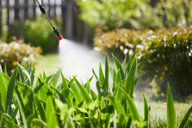 24/7 Emergency Termite Control experts in Ponca City, OK