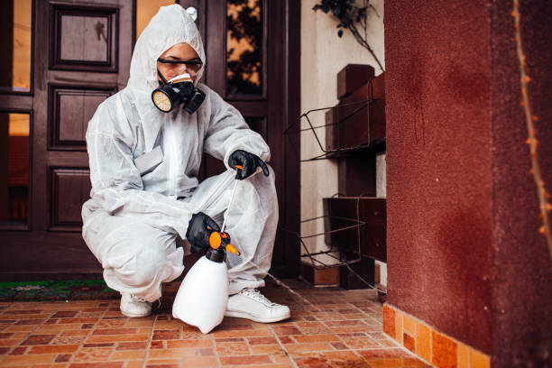 Reliable Termite Control contractor in Ponca City, OK by Nex Pest Control