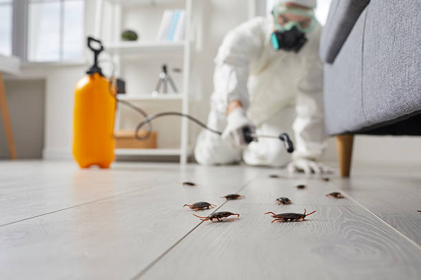 Trusted Emergency Pest Control service in Ponca City, OK - Nex Pest Control