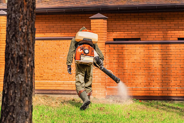 Trusted Rodent Control service in Ponca City, OK - Nex Pest Control